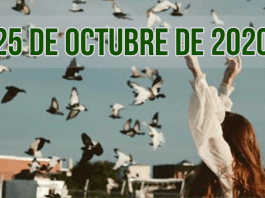 25 oct LyB