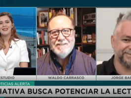 Derecho a la Lectura, Nueva Constitución MEGA