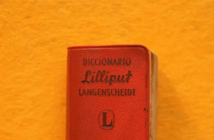 Diccionario Lilliput Columna de Patricio Contreras