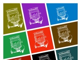 La Citroneta Collage