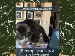 Reemplazda por un software