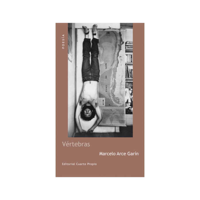 Vértebras. Cuarto Propio Vértebras. Cuarto Propio
