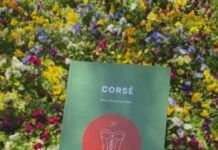 Corsé de Jessy Chamorro-Salas La irrupción de una nueva mirada sobre la cotidianidad y las tensiones femeninas Corsé, de Jessy Chamorro-Salas. Queltehue Ediciones