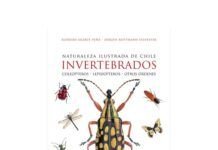 Presentan en la Feria del Libro de Viña del Mar Naturaleza ilustrada de Chile. Invertebrados Inverterbrados Feria del Libro Viña