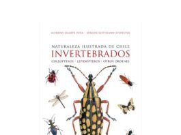 Inverterbrados Feria del Libro Viña