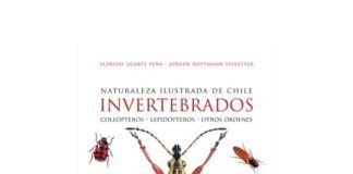Presentan en la Feria del Libro de Viña del Mar Naturaleza ilustrada de Chile. Invertebrados Inverterbrados Feria del Libro Viña