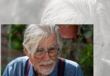 José Bengoa, memoria viva de los pueblos originarios Bengoa