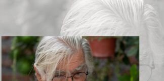 José Bengoa, memoria viva de los pueblos originarios Bengoa