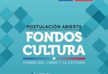 Del fomento a la tutela: los nuevos filtros ideológicos del Fondo del Libro 2027 Fondos de Cultura 2027 - Libro
