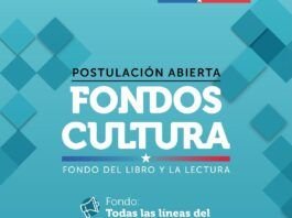 Fondos de Cultura 2027 - Libro