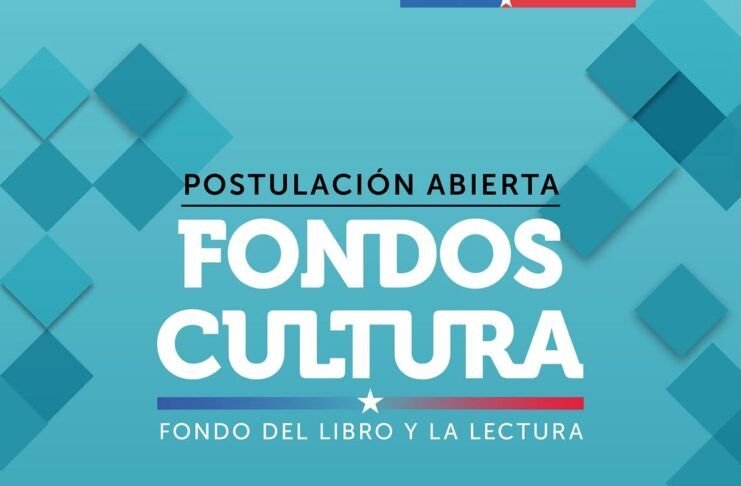 Fondos de Cultura 2027 - Libro