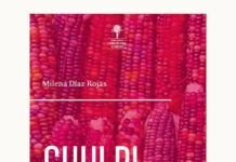 Chulpi: migración, memoria e identidad chola en el nuevo poemario de Milena Díaz CHULPI