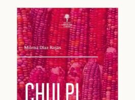 Chulpi: migración, memoria e identidad chola en el nuevo poemario de Milena Díaz CHULPI
